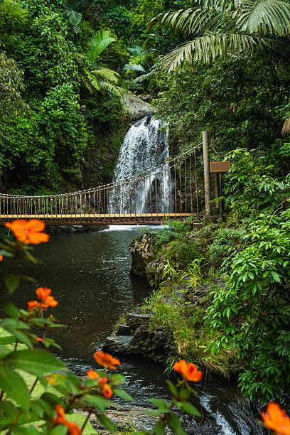 Green Scenic Tropical Waterfall In Vietnam