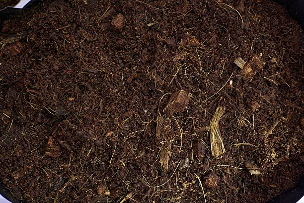 Close up View of the Dirt Soil Ground