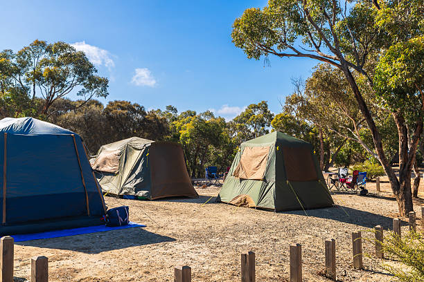 istock Camping site with tents on a day 2220904740