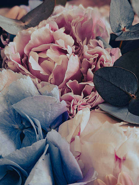 istock Vertical floral background with a soft pink rose and pastel blue and white hydrangeas 2220905757
