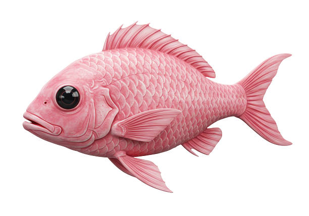 istock Isolated Pink Fantasy Fish with Large Eyes 2220907807