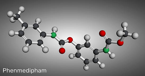 Structural model of Benzene molecule