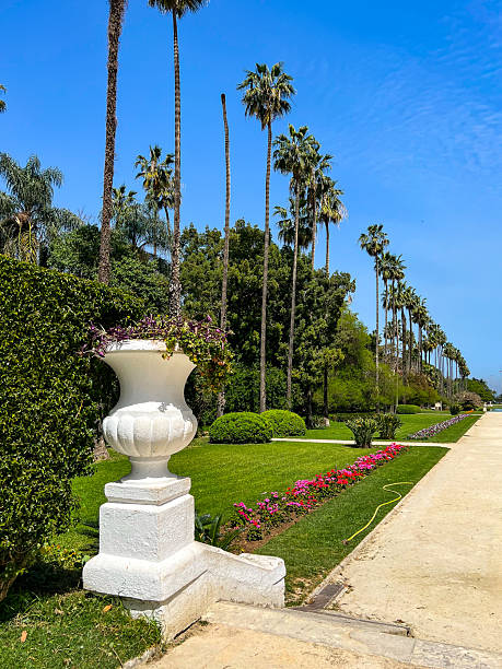 istock The botanical garden Jardin dEssai du Hamma in Algiers 2220909710
