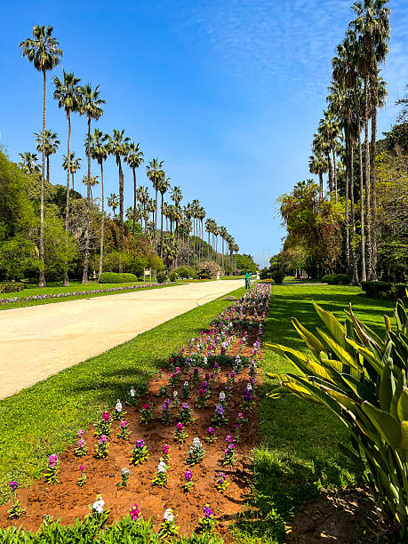 istock The botanical garden Jardin dEssai du Hamma in Algiers 2220909958