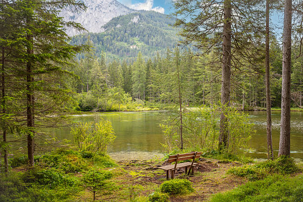 Austria. Summer lake in forested mountains. Wooden bench on the shore for tourists to rest