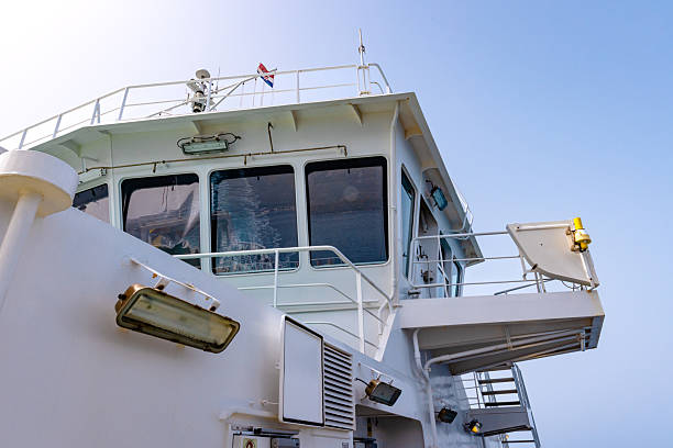 Sunny day over a quiet bay with a white boat deck in the foreground and green tree-lined shoreline across calm blue water, capturing serenity, travel, and sea life