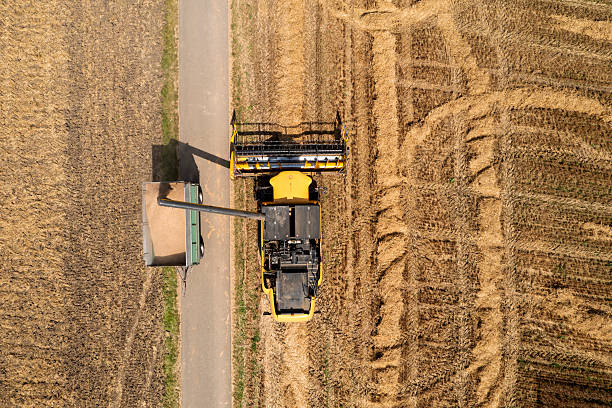 istock Combine harvester and tractor trailer 2220919725