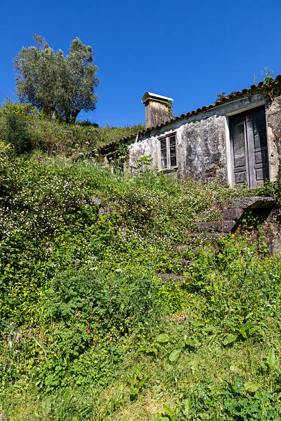 istock Old stone house with wild vegetation around 2220920251