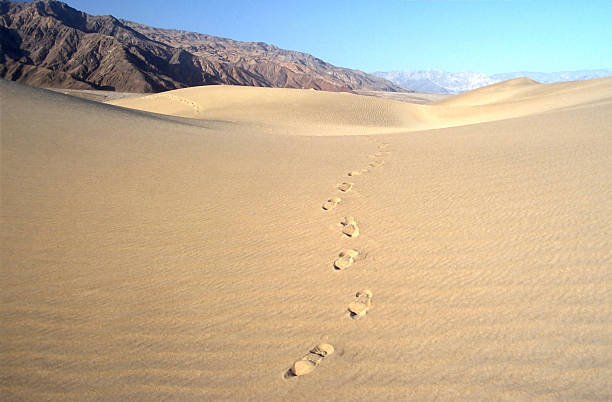istock Footsteps in the Death Valley desert. 2220926046