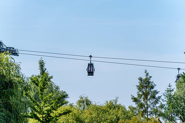 istock A modern cable car gondola floats serenely over treetops against a clear blue sky. 2220926286