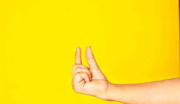 istock A human hand captured in a holding gesture, isolated against a bright, uniform background. This high-contrast image is perfect for ad mockups, UI/UX demos, or social media designs needing a clean hand model for emphasis. 2220927015