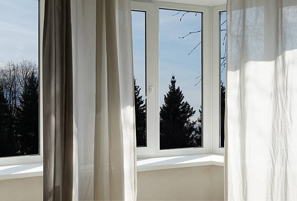 istock Window, view of dark fir trees in the forest. 2220927340