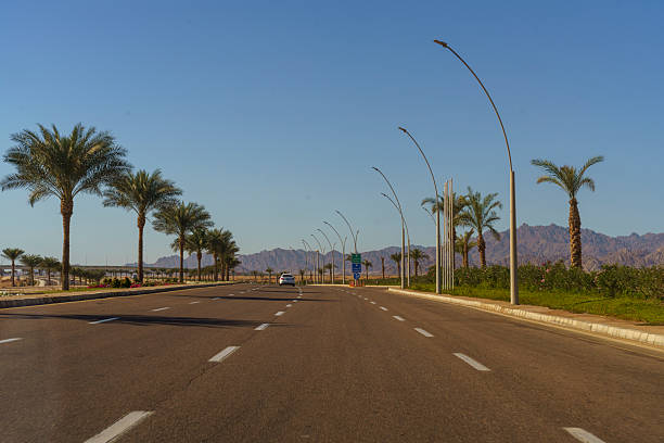 A road with palm trees on both sides and a car driving down it. The road is empty and the sky is clear