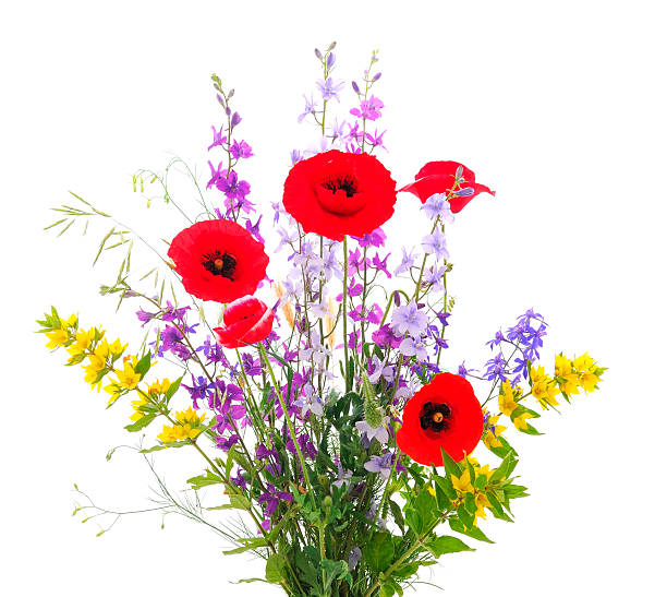 Flowers in the garden