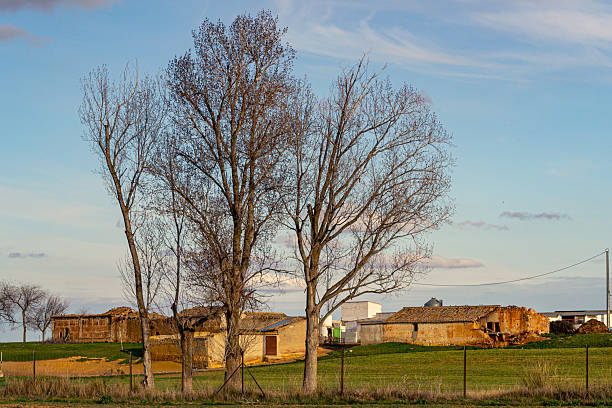 Rural landscape with a farmhouse in the fields and trees in front partially obstructing the house. A typical scene from the agricultural areas of inland Spain.