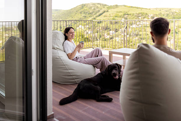 istock Joyful Moments with Dog 2220934543