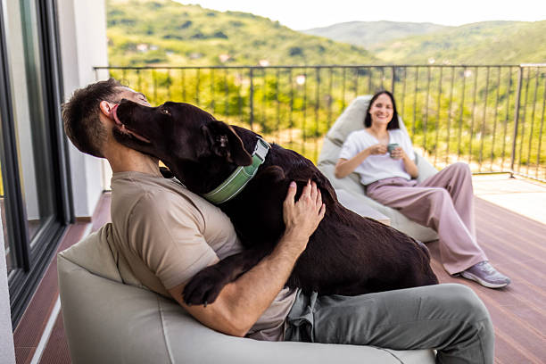 istock Pet-Friendly Coffee Break with Happy Couple and Dog 2220934658