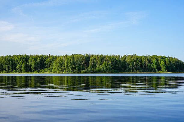 istock Lake in the forest 2220941859