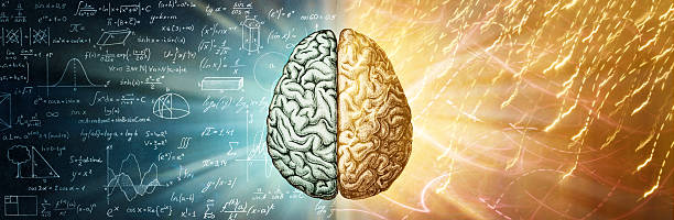 istock The human brain is a creative background. The right creative hemisphere compared to the left logical hemisphere. A concept on the topic of education, science and medicine. 2220944034