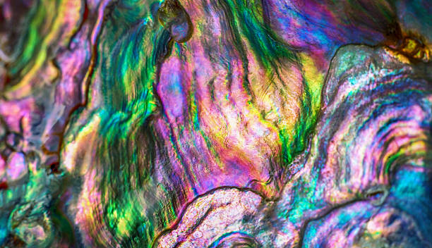 istock High magnification macro of nature texture pearl shell. Rainbow colors abstract background close-up. 2220945807