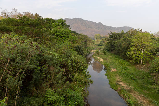 istock Chiang Rai Province, Thailand 2220945814