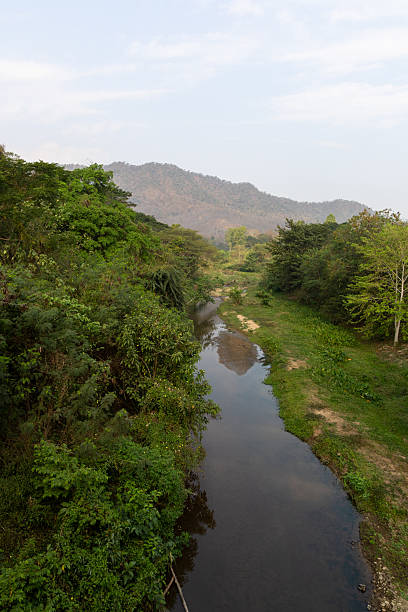 istock Chiang Rai Province, Thailand 2220945842