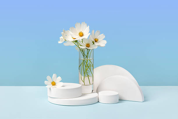istock White podium and flowers 2220949575