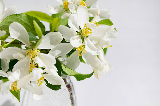A cozy table setting features a cup of herbal tea alongside a blank card surrounded by fragrant blossoms and green leaves, creating a tranquil atmosphere perfect for relaxation.