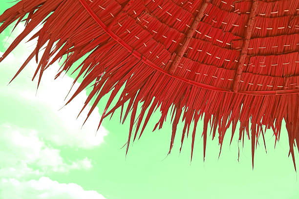 istock Pop Art Surreal Style Red Colored Thatched Beach Umbrella on Mint Green Sky Background 2220952782