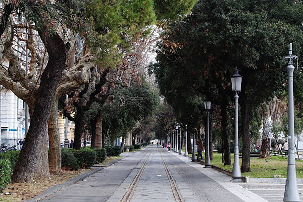 istock Tree Lined Avenue Old Tram Tracks Urban in Salerno 2220954542
