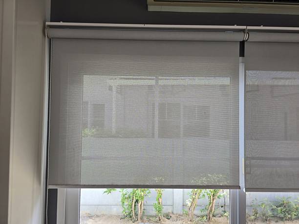 Softly Filtered Light Through Modern Roller Shade in Bright Room
