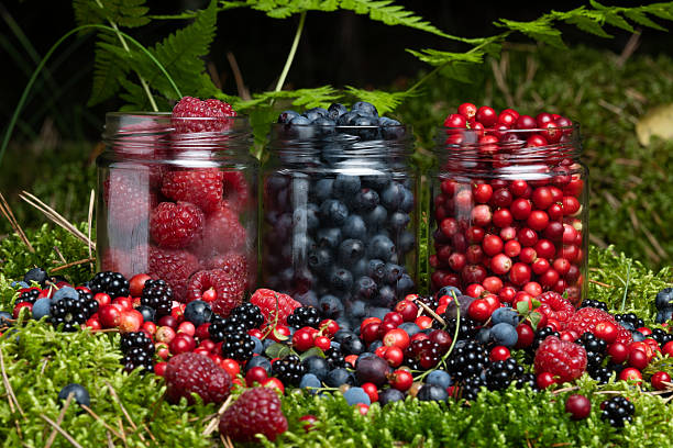 Assorted berries fresh mix colorful arrangement in forest