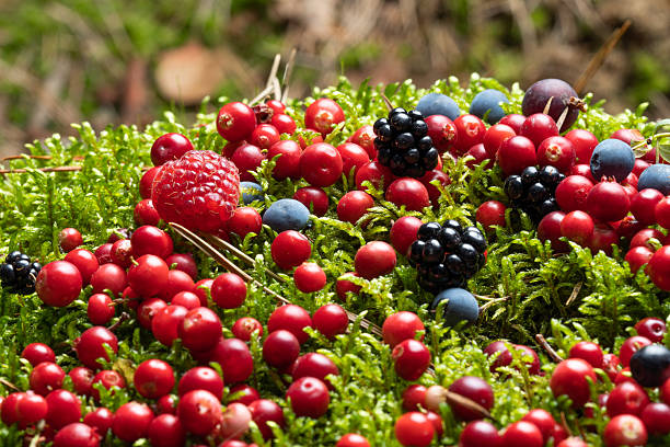 istock Berries fresh assorted mix overhead arrangement close up in studio on dark background 2220958813