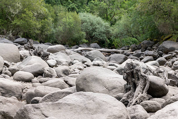 istock Rocky Riverbed with Lush Foliage 2220962851