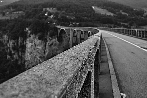 This striking monochrome photograph captures the dramatic curvature of the Đurđevića Tara Bridge in Montenegro. The worn, textured concrete of the bridge's railing dominates the foreground, leading the eye along the expansive span that gracefully arches over a deep, tree-lined canyon. In the background, rolling hills covered in dense forest rise towards the sky, hinting at the vast, rugged landscape surrounding this impressive architectural feat. The black and white palette emphasizes the strong lines and historical feel of the structure, highlighting its enduring presence amidst the wild natural beauty.