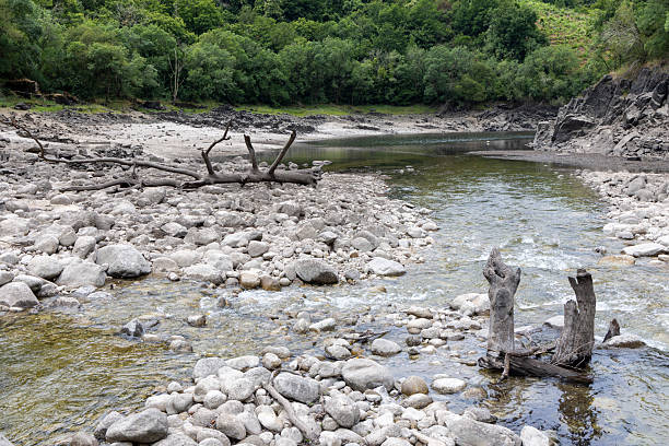 istock Tranquil Creek Bed with Exposed Rocks and Driftwood 2220963496