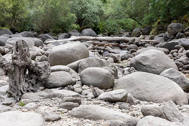 istock Riverbed with Large Boulders and Driftwood 2220963582