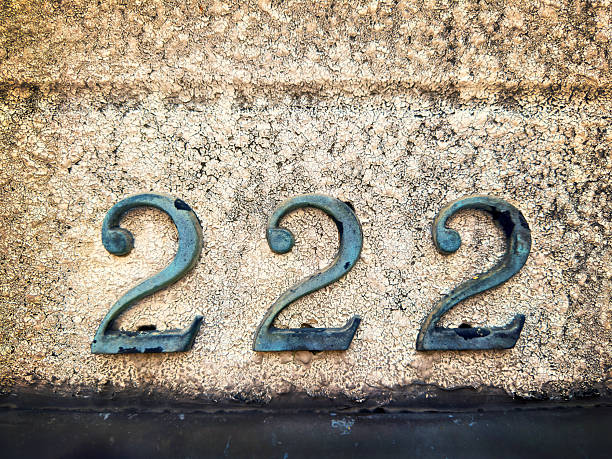Close up building number 222  on concrete wall