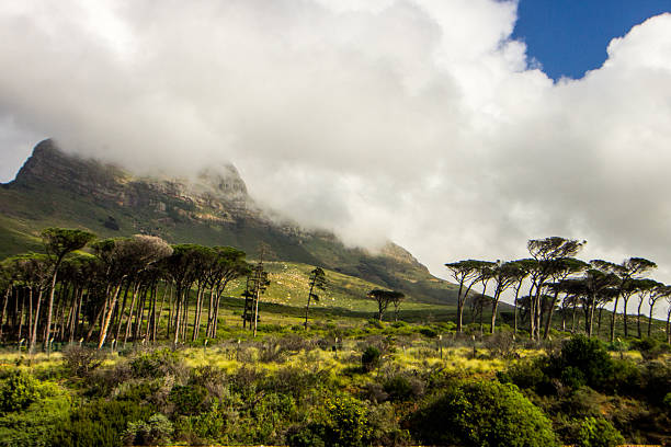 The Cape Fold Mountains extend along South Africa’s south and southwestern coastline. These rugged impressive mountains formed during the Paleozoic era as a result of collisions on the ancient Super Continent of Gondwana, leading to the formation of Pangea.