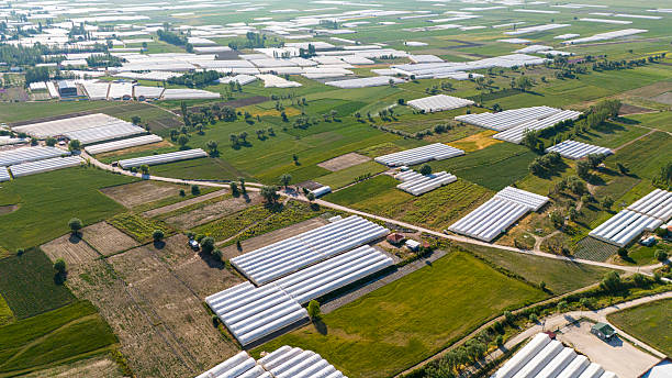 istock Aerial drone footage showcasing expansive farmland with multiple greenhouses arranged in rows 2220972777