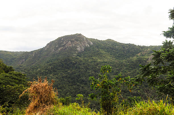 istock Looking from the Kurunda railroad 2220975660