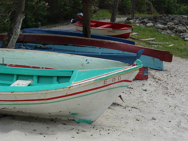 The Sinamaica Lagoon is a large extension of water located northwest of Zulia state, Venezuela. The Sinamacia village inhabited by the ethnic Añu Indians is one of the last floating villages on earth. They have lived in houses above water, known as palafitos, since pre-colonial times. They use the water body for fishing, transport, and other activities. Wooden canoes or small motor boats are used for transportation. Life in the lagoon is threatened by social issues such as severe poverty, water contamination and global warming.