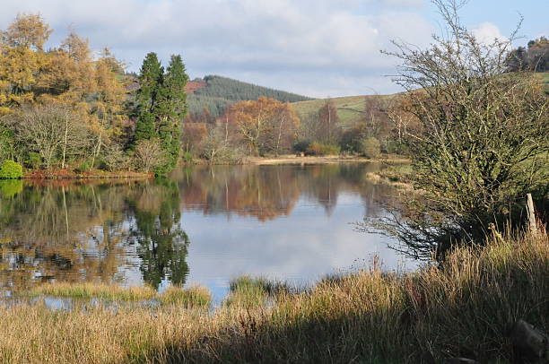 istock Golden Reflections on a Tranquil Autumn Lake 2220979359