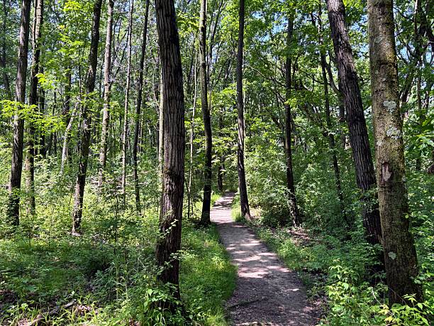 istock Lapham Peak in Waukesha County, Wisconsin 2220983852