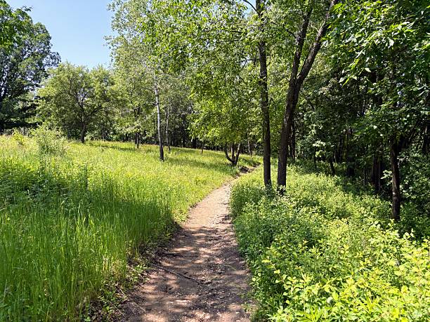 istock Lapham Peak in Waukesha County, Wisconsin 2220983920