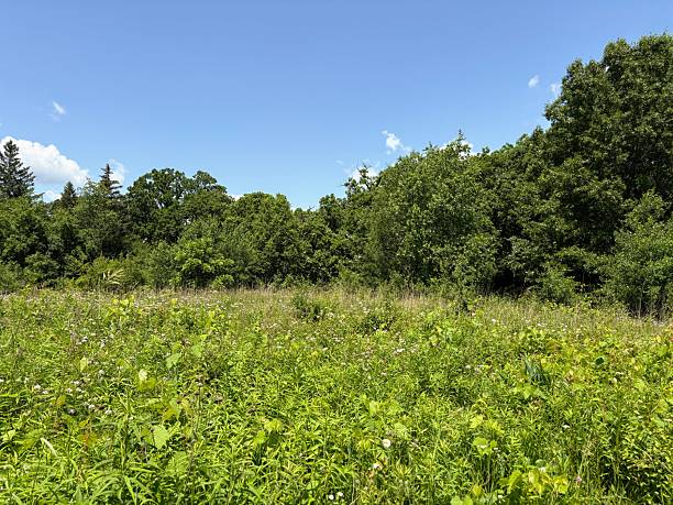 istock Lapham Peak in Waukesha County, Wisconsin 2220984011