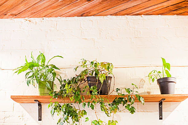 Cozy eco interior in a cafe. Modern eco interior