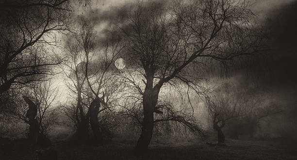Creepy dark landscape showing old forest and moon in winter