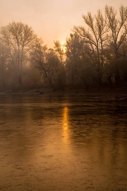 foggy riverside