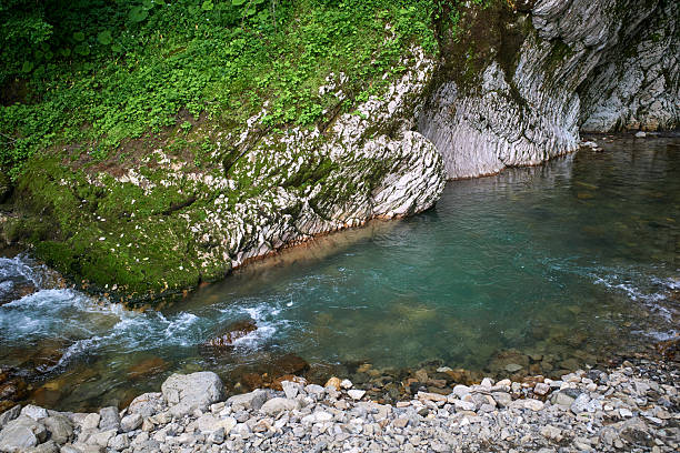 Clear mountain rocky mountain river with blue water on a summer day. Gray stone coast